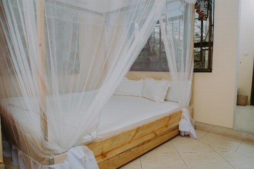 White House of Tanzania image 1